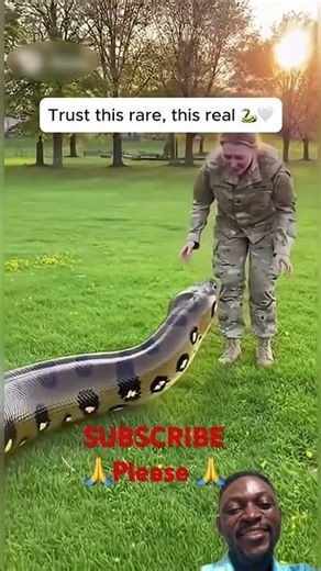 Emotional animals reunited with the people who rescued them #animals #animalrescue