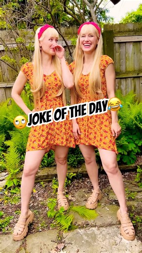 Harp Twins Joke of the Day! 🤣🤣#jokeoftheday #jokes #dadjokes #harptwins #twins