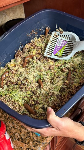 Kitty Litter Cake! We make a fun Halloween Treat the whole family will love! | Charles Parks