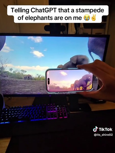 ChatGPT will NOT be saving our lives 💔🤖 #ai #chatgpt #prank #funny #elephant