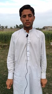 127K views · 2.4K reactions | Majid o share 藍藍 | Shayan Vlogs | Facebook