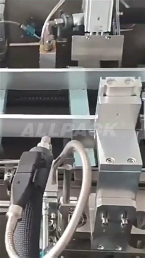 Why is this Snack Cartoning Machine So Addictive to Watch?