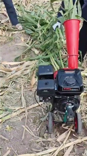 Using a chopper machine to process corn stalks