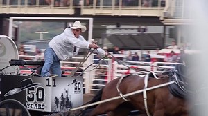 17K views · 312 reactions | All of the snow that’s been coming down has us thinking about sunshine, warm weather and the 2018 Calgary Stampede. Did you celebrate with us in 2017? We can’t wait to welcome you this year! Mark your calendars for the 2018 Calgary Stampede, July 6-15. | Calgary Stampede | Facebook