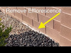 Remove efflorescence (white stuff) from your wall