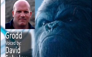 【DC/thepandaredd】罗宾海选-格鲁德