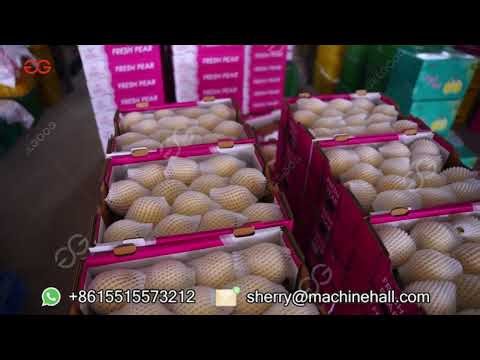 Orange Sorting Unit for Fruit Processing Plant