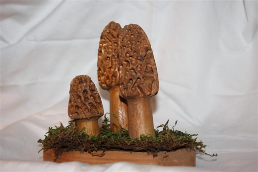 Morrell Mushroom Carving: A Unique and Detailed Hand-carved Mushroom Sculpture - Etsy Canada