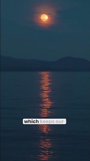 How the Earth-Moon system works?