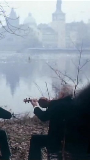 Cuentas recomendadas