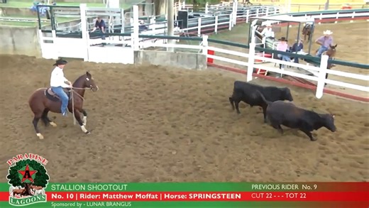 𝟮𝟬𝟮𝟰 𝗣𝗮𝗿𝗮𝗱𝗶𝘀𝗲 𝗟𝗮𝗴𝗼𝗼𝗻𝘀 𝗦𝘁𝗮𝗹𝗹𝗶𝗼𝗻 𝗦𝗵𝗼𝗼𝘁𝗼𝘂𝘁 There's nothing we like more than a Stallion Shootout. From Draw #1 the bar was set at 89, SPRINGSTEEN & Matt Moffat rose to meet it at Draw #10. With 6 horses to go in the 36 horse event we braced ourselves for the run off. On draw #29 our hopes were dashed. This shootout only paid the winner, but Showcasing Springsteen on the big stage will reap its own rewards. Video thanks to #paradiselagoons * #australianequinenetwor