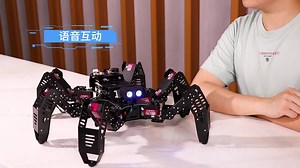 超酷的开源六足机器人，Spiderbot能战斗、能攀爬、能跳舞、还能语音交互！