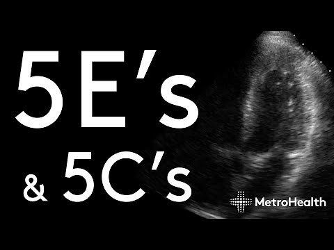 How to Approach Bedside Cardiac ECHO
