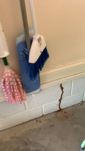 Do you have termites?? #termites #pestcontrol