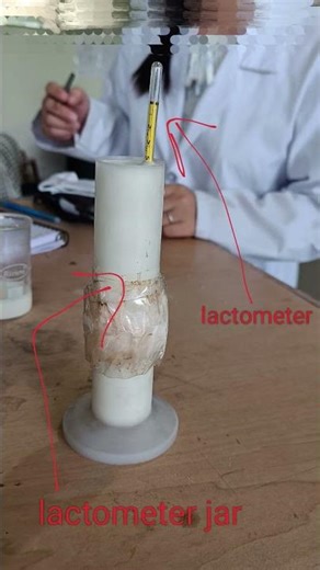lactometer specific gravity measurement of milk sample #veterinary #biology #cow #external