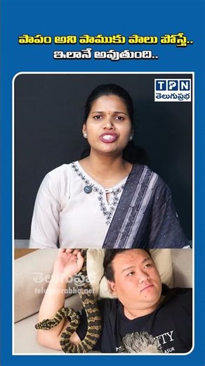 పాపం అని పాముకు పాలు పోస్తే ఇలానే అవుతుంది | Snake Out Of Pity | #snake #chinanews