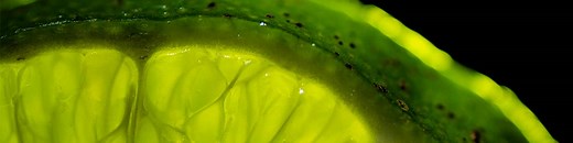 Fruit Macro Photography Tutorial 🍊🍉🍋🥝