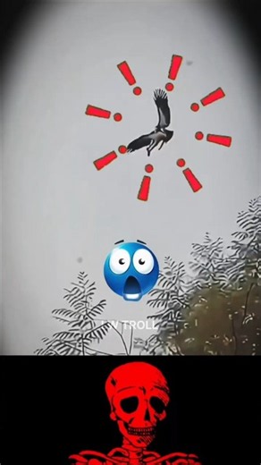 #trollface