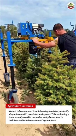 Tree Trimming Machine in Action | Perfect Tree Shaping Technology 🤖🌱