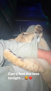 Single Vision, Inc. on Reels