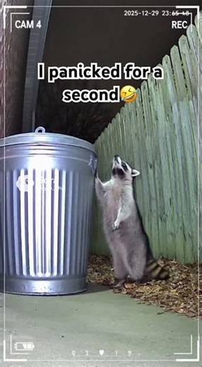 Thought something scary was happening! 😳