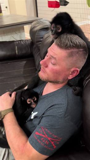 Understanding Spider Monkey Behavior and Care