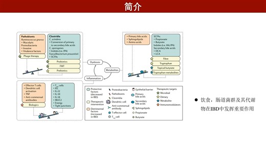 iMetaOmics | 中国药科大学来茂德/李菁-解析戈氏副拟杆菌与饮食互作改善小鼠肠炎的机制