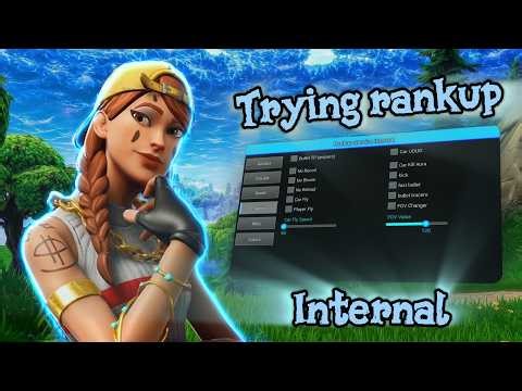 I Downloaded Fortnite Cheats For The First Time... This Was Insane(RankupServicesinternal)