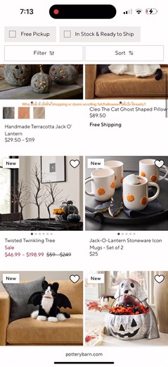 #fall #pumpkin #halloween #holidays #fyp