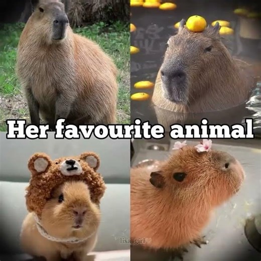 TH IDOL....✨️🎀💗 #kpop #jennie kim #blackpink