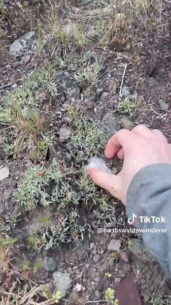 Heartwarming Rockhounding Adventures in Oregon