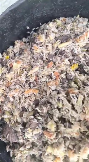 Perros de Rehala: Caza y Tradición Española