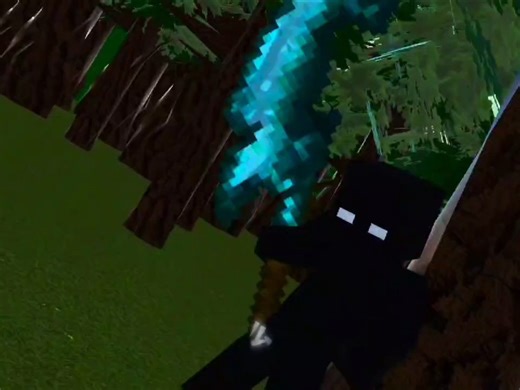 我的世界动画测试