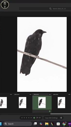 Adjusting Lighting for Dramatic Effect Blue Hue Added