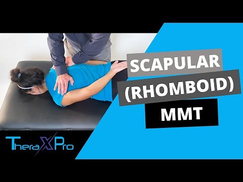 Manual Muscle Test | Scapular Adduction and Internal Rotation (Rhomboid Strength)