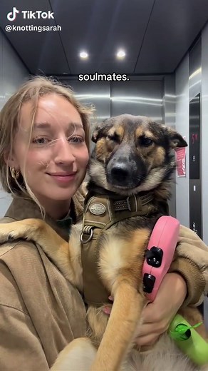 K9 sarah (@knottingsarah)’s video of dog