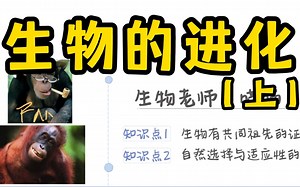 【高中生物必修二】生物的进化（知识）上 |0基础救星~