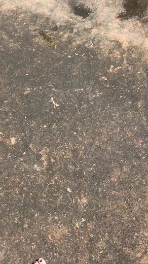 Places We Should Skinny Dip (@placesweshouldskinnydip)’s videos with Sunroof - Nicky Youre & dazy