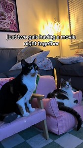 jovie mainly likes cat tv videos and ella is always happy to oblige 🥰 | Ellawatchestv_