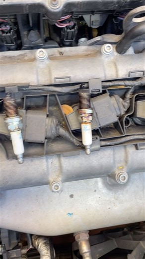 1.2K reactions · 44 shares | A spark plug condition can tell you a lot about what’s happening inside the cylinders so just by doing a visual inspection on it. Which cylinder is having a misfire here? And what causes that misfire just take a guess #louwscustomsza #mobilemechanic #mobileworkshop #mechaniclife #vwaudi | Louw's Customs | Facebook