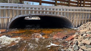 Minnesota Fish & Wildlife on Reels