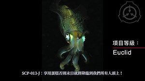 【SCP基金会】SCP-013-J 终极智慧之墨鱼
