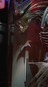 3.9K views · 408 reactions | While in Austin we stopped by @museumoftheweird to see their impressive life-sized #xenomorph display! | Alien vs. Predator Galaxy | Facebook