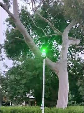 Bird Control Australia Hawk Laser