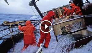 Top 15 Most Dangerous Jobs In The World