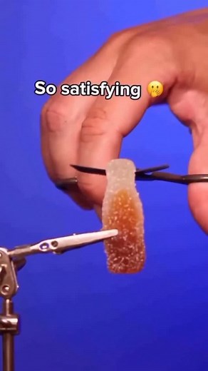 daily lizard meme on Instagram: "Day 44 of posting the lizard meme till I reach 1 BILLION followers"