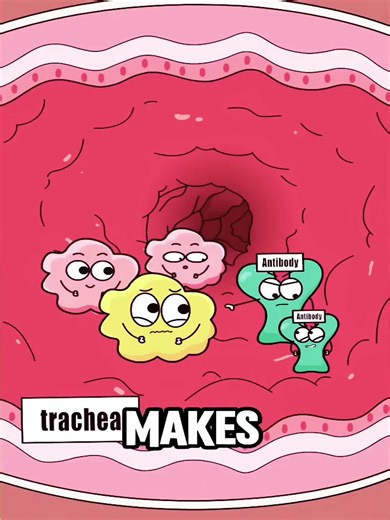 #animation #funny #video #health #trending