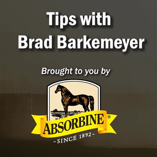 Absorbine Sponsored Rider Brad Barkemeyer explains why ShowSheen® Detangler Gel is always part of his grooming routine. | Absorbine