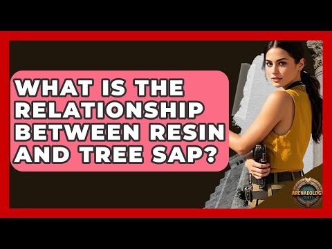 What Is The Relationship Between Resin And Tree Sap? - Archaeology Quest
