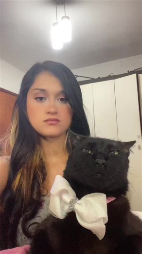 Vídeo de caquinho_cat (@caquinho_cat) relacionado a el gato dancing to chinese song